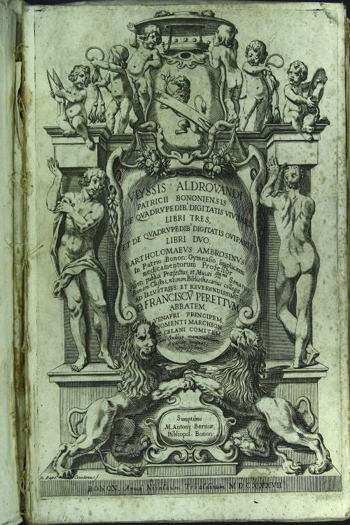 Vlyssis Aldrouandi ... De reliquis animalibus exanguibus libri quatuor, post mortem eius editi: nempe de mollibus, crustaceis, testaceis, et zoophytis. ...