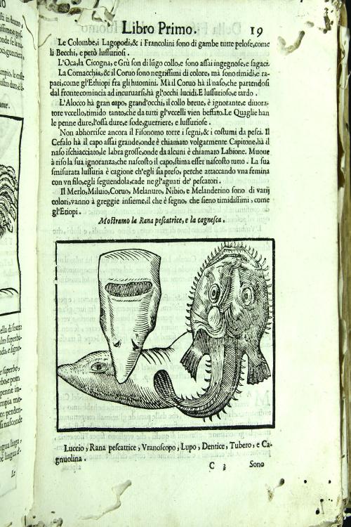 La fisionomia dell'huomo et la celeste di Gio. Battista Dalla Porta libri sei, tradotti di latino in volgare, e dall'istesso auctore accresciuti di figure, et di passi necessarij a' diverse parti dell'opera