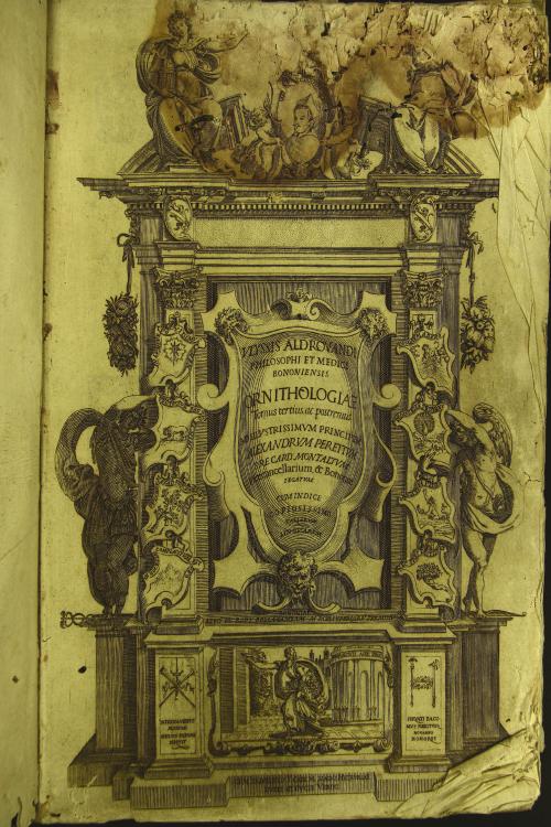 Vlyssis Aldrouandi ... Ornithologiae hoc est De auibus historiae libri 12. ... Cum indice septendecim linguarum copiosissimo. Tomus primus-tertius! TOMUS TERTIUS