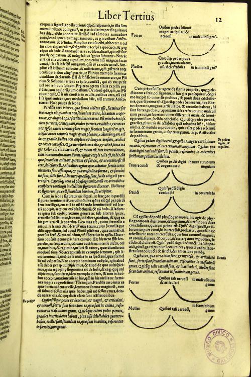 Parua naturalia Augustini Niphi medices philosophi Suessani, videlicet Physiognomicorum libri tres. De animalium motu lib. vnus. De longitudine et breuitate uitae lib. Vnus.