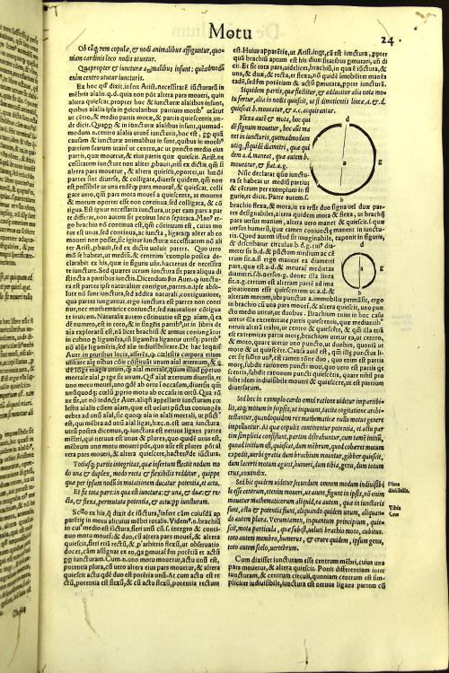 Parua naturalia Augustini Niphi medices philosophi Suessani, videlicet Physiognomicorum libri tres. De animalium motu lib. vnus. De longitudine et breuitate uitae lib. Vnus.