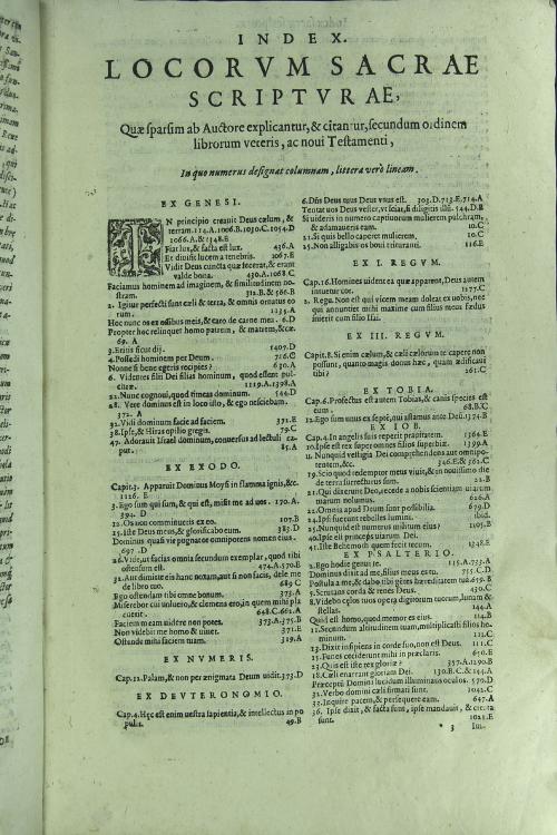 Scholastica commentaria in universam primam partem angelici doctoris D.Thomae in duos tomos divisa Auctore R.F. Dominico Banes Mondragonensiordinis