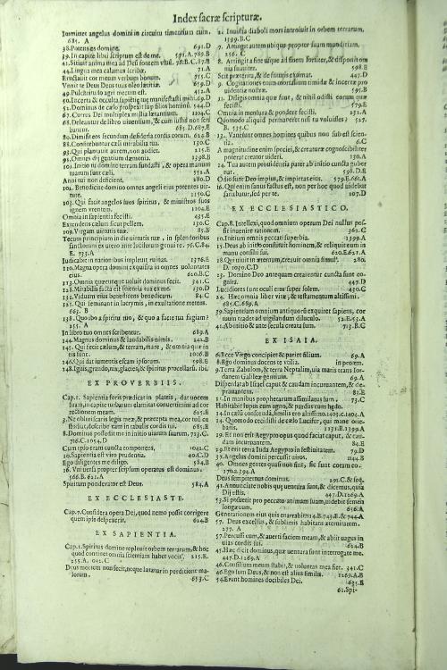 Scholastica commentaria in universam primam partem angelici doctoris D.Thomae in duos tomos divisa Auctore R.F. Dominico Banes Mondragonensiordinis