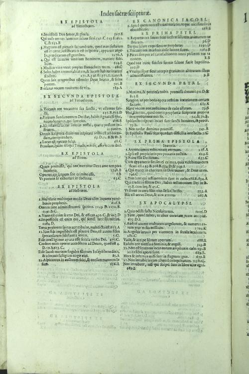 Scholastica commentaria in universam primam partem angelici doctoris D.Thomae in duos tomos divisa Auctore R.F. Dominico Banes Mondragonensiordinis